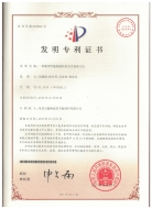 發明專利